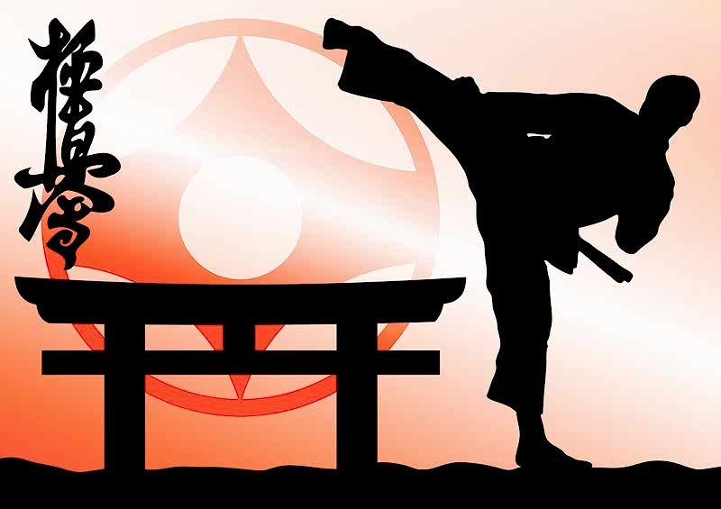 Плюсы и минусы занятия каратэ Киокушинкай